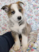 processed/771852c5-e017-4154-8e3f-bae1bf732b13/listing/a95b8e70-464b-4462-b7b3-f0066ce7d8c7/79b9ebdb-14e5-4a4f-82f4-00c8ebee16a6