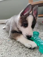 processed/771852c5-e017-4154-8e3f-bae1bf732b13/listing/a95b8e70-464b-4462-b7b3-f0066ce7d8c7/ff4dede9-1ef0-49f9-9620-66b67fbd4914