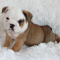 processed/7725dd53-9391-4983-a44c-692e1829fa10/facility/0410ca4a-bcaf-446c-936a-001891432330