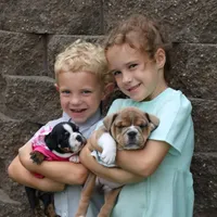 processed/7725dd53-9391-4983-a44c-692e1829fa10/facility/90eca7b4-ec28-47f5-94f0-4745bdcf24c6