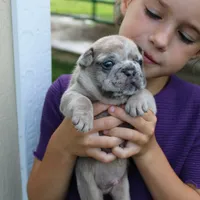 processed/7725dd53-9391-4983-a44c-692e1829fa10/facility/eb9b2923-e56c-48fa-b203-e93f38457947