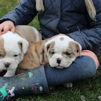 processed/7725dd53-9391-4983-a44c-692e1829fa10/facility/ebde9c68-adda-4f19-9df0-c44ba6bbb93c