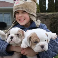 processed/7725dd53-9391-4983-a44c-692e1829fa10/facility/f7e69a3d-769a-4940-bfe4-5c2cb71c1876