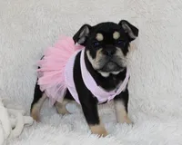 processed/7725dd53-9391-4983-a44c-692e1829fa10/listing/594872a9-80b1-472f-8d71-146a4e7916f8/2542b9a9-9ffe-4add-88a0-1a00238b271c