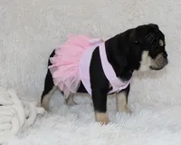 processed/7725dd53-9391-4983-a44c-692e1829fa10/listing/594872a9-80b1-472f-8d71-146a4e7916f8/8cb163dd-9386-47f5-a620-17cef1ab5234