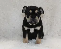 processed/7725dd53-9391-4983-a44c-692e1829fa10/listing/594872a9-80b1-472f-8d71-146a4e7916f8/b6a765c6-5a50-42aa-b0db-52080188b69b