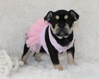 processed/7725dd53-9391-4983-a44c-692e1829fa10/listing/594872a9-80b1-472f-8d71-146a4e7916f8/f60948d7-e6c1-4721-ac08-444d428d9513