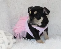 processed/7725dd53-9391-4983-a44c-692e1829fa10/listing/594872a9-80b1-472f-8d71-146a4e7916f8/ff012722-a733-4ec9-a908-cd63013fe439