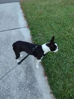 processed/772e9fae-56f7-42a5-adac-4580f57dff5c/facility/0565355c-f70c-4d59-8e12-ac1160d16e64