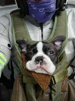 processed/772e9fae-56f7-42a5-adac-4580f57dff5c/facility/7555bb0b-cc71-41d2-881c-74da9962218a