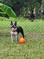 processed/772e9fae-56f7-42a5-adac-4580f57dff5c/facility/7f7c2a04-9803-45f9-b78f-ad7acae87b1b