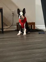 processed/772e9fae-56f7-42a5-adac-4580f57dff5c/facility/a1bed398-d1f6-4d14-a5cf-ac5cdc4f497f