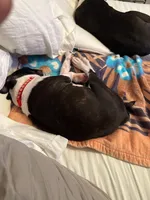 processed/772e9fae-56f7-42a5-adac-4580f57dff5c/facility/a27aef6c-ae99-4f9f-ab67-d9bbf4ff4bd3