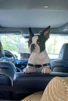 processed/772e9fae-56f7-42a5-adac-4580f57dff5c/facility/b0875cc6-58da-4e26-bfd2-06d229bf0583