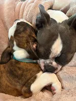 processed/772e9fae-56f7-42a5-adac-4580f57dff5c/facility/be5481ba-dcc9-46aa-a3af-8c2ffad41aa4