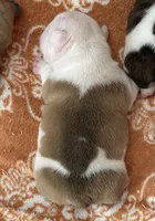 processed/772f3c60-ea5d-498c-ad39-4141d7f46a9d/listing/832d6488-4cd1-48e6-9c6f-e733f5e0d450/3ec75e15-f26b-4b0e-afa4-e01e302fcd1c