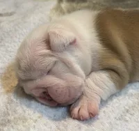 processed/772f3c60-ea5d-498c-ad39-4141d7f46a9d/listing/832d6488-4cd1-48e6-9c6f-e733f5e0d450/99a26158-ef60-4627-92bb-52cf5cfc86e1