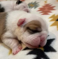 processed/772f3c60-ea5d-498c-ad39-4141d7f46a9d/listing/832d6488-4cd1-48e6-9c6f-e733f5e0d450/c9a6da82-2fc2-4d5a-91bf-f08f22d502c7