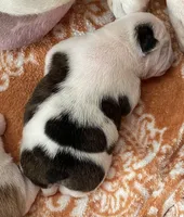 processed/772f3c60-ea5d-498c-ad39-4141d7f46a9d/listing/949ce53f-32c8-4d68-95dc-653d1ed5d199/02452ad6-1eac-477e-a7f7-dfa5385d7141