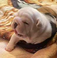 processed/772f3c60-ea5d-498c-ad39-4141d7f46a9d/listing/949ce53f-32c8-4d68-95dc-653d1ed5d199/34a757c6-a2b4-4cc1-bd48-29035349d571