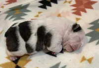 processed/772f3c60-ea5d-498c-ad39-4141d7f46a9d/listing/949ce53f-32c8-4d68-95dc-653d1ed5d199/cb2ab016-fe7c-410b-a757-4cb2f30f2bf1