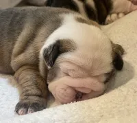 processed/772f3c60-ea5d-498c-ad39-4141d7f46a9d/listing/a7723f5f-cb30-47ea-8e1c-1824f3dffa98/caf0d10f-4936-428a-9631-d8747fd0566e