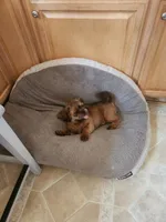 processed/77364c1a-d569-496f-bea2-050a42fb0066/listing/c6a29c5a-ce15-4025-8121-e613408e647e/029839ce-f8ae-4a28-b5ff-9d36c98f26af