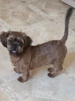 processed/77364c1a-d569-496f-bea2-050a42fb0066/listing/c6a29c5a-ce15-4025-8121-e613408e647e/458dd12e-4bb1-461d-bc79-5683cf589786