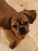 processed/77364c1a-d569-496f-bea2-050a42fb0066/listing/c6a29c5a-ce15-4025-8121-e613408e647e/7218b9fd-b857-403f-bf38-9c468930513c