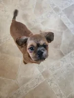 processed/77364c1a-d569-496f-bea2-050a42fb0066/listing/c6a29c5a-ce15-4025-8121-e613408e647e/ad1b82c5-4619-490a-942f-bc0ff8699b00