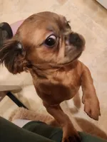 processed/77364c1a-d569-496f-bea2-050a42fb0066/listing/c6a29c5a-ce15-4025-8121-e613408e647e/bfa1b78b-0460-4e26-a8d0-d6339e87df77