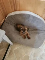 processed/77364c1a-d569-496f-bea2-050a42fb0066/listing/c6a29c5a-ce15-4025-8121-e613408e647e/d799e644-6eb5-4c99-a357-591d351591f6