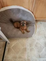 processed/77364c1a-d569-496f-bea2-050a42fb0066/listing/c6a29c5a-ce15-4025-8121-e613408e647e/d93001f1-2ee8-43f1-a2ac-f86fea22e8fa