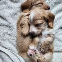 processed/7736a052-079e-4445-8ca3-8a29207b0e07/facility/26bc36ce-91b6-467a-b1b6-83dd2dccde3e