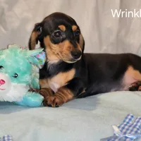 processed/7736a052-079e-4445-8ca3-8a29207b0e07/facility/62f0308c-2443-4738-a6ba-dc25f47fcd1d