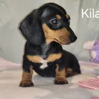 processed/7736a052-079e-4445-8ca3-8a29207b0e07/facility/6407199b-9cc5-4589-bc1b-ced7a957f26d