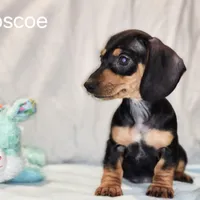 processed/7736a052-079e-4445-8ca3-8a29207b0e07/facility/6bfce371-bf19-4b60-85f5-4d051c735bb0