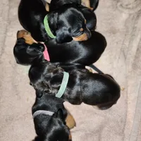 processed/7736a052-079e-4445-8ca3-8a29207b0e07/facility/71621527-b52c-415b-8047-bc2f7778bd40