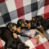 processed/7736a052-079e-4445-8ca3-8a29207b0e07/facility/72f26585-341d-4997-b71b-bfced0f12a67