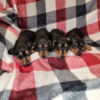 processed/7736a052-079e-4445-8ca3-8a29207b0e07/facility/74301d9a-4482-494e-b54b-9b5fb644cb69