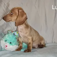 processed/7736a052-079e-4445-8ca3-8a29207b0e07/facility/c1b5c459-ac6a-4ec8-8670-2ba014415c59