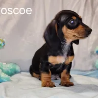 processed/7736a052-079e-4445-8ca3-8a29207b0e07/facility/e9061192-c848-4c3f-8260-7b5f2f6712e9