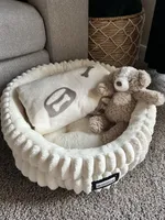 Skip, a female Chihuahua for sale in Lewisville, TX – Photo 9 of 10