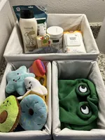 Skip, a female Chihuahua for sale in Lewisville, TX – Photo 10 of 10