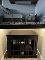 Skip, a female Chihuahua for sale in Lewisville, TX – Photo 7 of 10