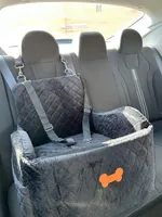 Skip, a female Chihuahua for sale in Lewisville, TX – Photo 8 of 10