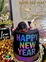 processed/7741af44-04b7-406b-8b7d-6701cd686c3b/listing/0f9ee2e8-71f9-4da5-9137-738da7f64e90/184d2aeb-d8f4-4c0c-82b3-31d495cdefb3