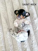 processed/7741af44-04b7-406b-8b7d-6701cd686c3b/listing/0f9ee2e8-71f9-4da5-9137-738da7f64e90/2325c658-0b6b-4591-b3f6-8bee453added