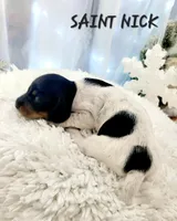 processed/7741af44-04b7-406b-8b7d-6701cd686c3b/listing/0f9ee2e8-71f9-4da5-9137-738da7f64e90/603f5bab-f7b8-4602-9b3e-5805c6a5e770