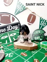 processed/7741af44-04b7-406b-8b7d-6701cd686c3b/listing/0f9ee2e8-71f9-4da5-9137-738da7f64e90/9bb44388-1de3-4bad-813e-8aeb233ea20b